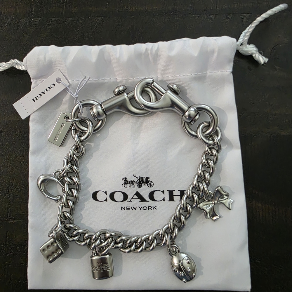 Coach Silver Swagger Chain With Charms
